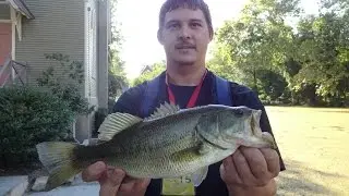 Catching Largemouth Bass & Sunnies at Afton Lake (Yardley, PA)