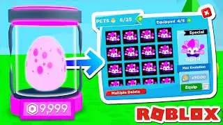 I bought TONS of LIMITED PETS to get MAX COINS in COINS HERO SIMULATOR... (ROBLOX)