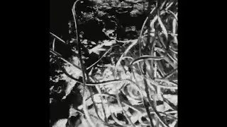 calmface - Untitled258