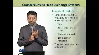 Countercurrent Heat Exchange Systems | Animal Physiology and Behavior (Theory) | ZOO502T_Topic228