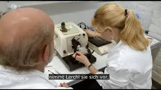 Film: Wi-Fi, Cell Phones, Electromagnetic Radiation, Headaches and Sensitivity  Swiss Film on EMFs