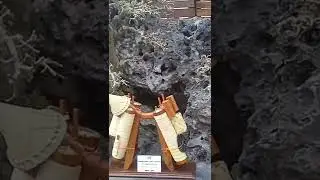 SERUT di BATU,,SERUT ON THE ROCK #shorts #bonsai #bonsaiserut