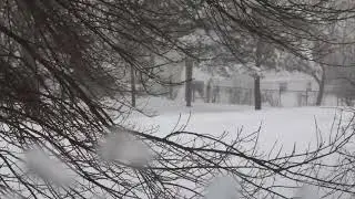 BAD SHOW STORM 2024 NOVA SCOTIA