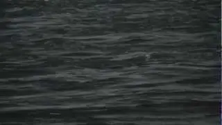 Montreal Underground trailer  2013