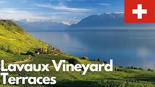 Exploring the Stunning Lavaux Vineyard Terraces in Switzerland