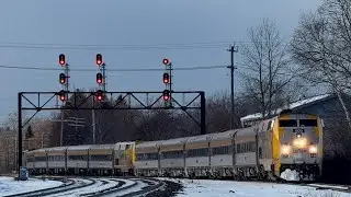 Railfaning with a cow on a ice burger 
