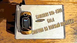Samsung sgh-E500 Gold | Полный комплект