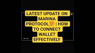 ПОСЛЕДНЕЕ ОБНОВЛЕНИЕ ПРОТОКОЛА MARINA | КАК ЭФФЕКТИВНО ПОДКЛЮЧИТЬ КОШЕЛЕК