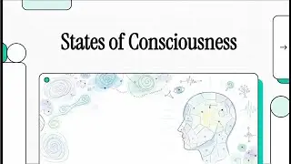 States of Consciousness | Understanding Levels, Altered States & Their Impact on Human Behaviour