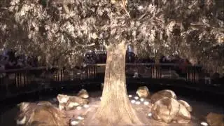 TREE OF PROSPERITY - CASINO 