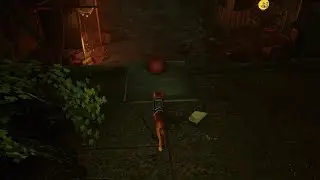 Stray - All sheet music.
