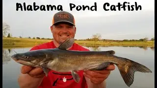 Alabama Pond Fishing