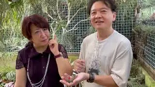 Ep 1  Airvatar: Living with Air Plants