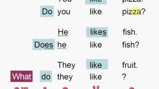 Interrogative Present Simple