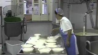 CASEIFICIO SANTA LUCIA ASCOLI SATRIANO  LAVORAZIONE DEL LATTE