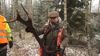 Hunting in Latvia 