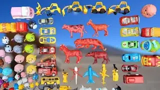 Membersihkan hewan sapi, biribiri, keleday, jebbra, gajah, anjing, kerbau,