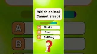 General Knowledge Trivia | Quick Facts You Should Know! 🌍 #shorts #quiz #trivia