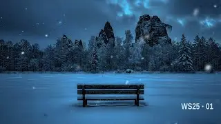 Frozen Solitude | 1H Harsh Winter Soundscape | WS25.01