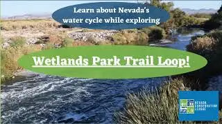 Wetland Trail Video