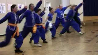 10,000 Victories Kung Fu Report-No. 1