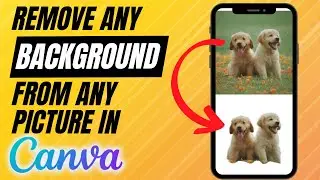 How To Remove Images Background In Canva Mobile App (2026)