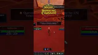 WOW TBC CLASSIC HUNTER LEVELING