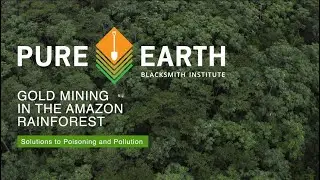 Gold Mining in the Amazon Rainforest