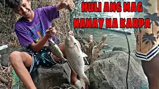 SA KWEBA TALAGA MAY MALALAKING KARPA ! / TALIM PH FISHING VLOG