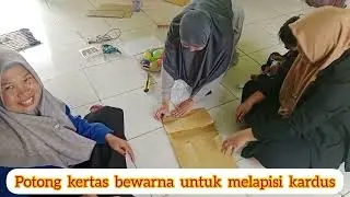 APE MATCH THE COLOR OF THE BALL ( mencocokkan warna bola) 