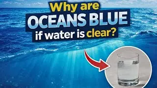 Вода прозрачная &mdash; так почему же океаны кажутся голубыми?