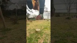Secret Empty Fist Kick: Leaping Tiger Double Flying Kick 双飞脚
