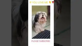 #trending#trendingvideo#funny #comedy#gaming#trending #viralvideo#viralshorts#memes #funny #givea