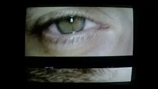 LOVER - Palm Reader [Music Video]