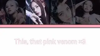 lyric pink venom - black pink 
