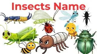 20 Insect Names for Kids | Learn Common Insects in English | Learn 20 Common Insect Names in English
