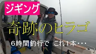 奇跡のヒラゴ