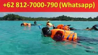 +62 812-7000-790 (Whatsapp), Abang Island Batam
