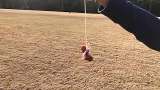 Bone drone