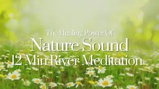 [NO XTRA ADS!]💧 12 min River Meditation *Better for Listening to* ☯️ Sound & Visual Nature Therapy.