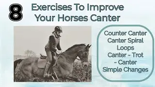 EXERCISES TO HELP IMPROVE YOUR HORSES QUALITY OF CANTER| Equestrian Training