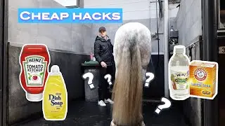 TRYING YOUR SUGGESTED HORSE HACKS