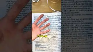 Day 145 of 365: Reading the Bible for the first time