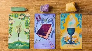YOUR LIFE 3 MONTHS FROM NOW! 🌳📖🏆 Pick A Card 🔮✨ Timeless Tarot Reading