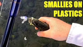 Plastic Fantastic - Delaware River Smallmouths on Flukes and Swimbaits