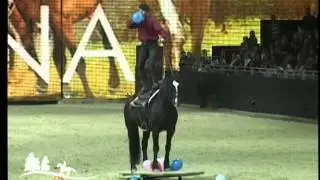 Peter Pfister mit Kl&ouml;tzchen auf der Equitana 2009