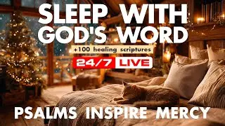 🐈 Adorable Sleeping Cat by Fireplace 24/7 | 📖 Bible Verses for Sleep