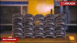Arkada - Linie producție șipcă premium CANADIANA
