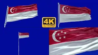 Singapore flag green screen 4k