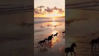 End the evening in the sunset glow and spirit of Sumba. #NIHI #Sumba #travel #horse